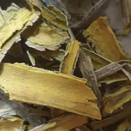 100 г арбарис кора сушена