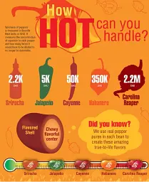 Екстремально гострі цукерки Jelly Belly Bean Boozled Flaming Five Challenge 53г - мініатюра 7