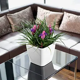 Вазон Lechuza Quadro Premium LS, 4 л, білий (16120) - мініатюра 7