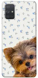 TPU чохол Demsky Cute Yorkie для Samsung Galaxy A71
