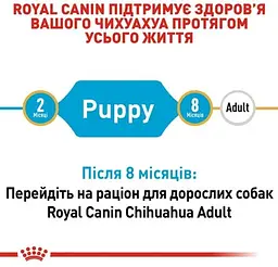 Сухий корм для цуценят чихуахуа Royal Canin Chihuahua Puppy 500 г 24380051 - мініатюра 5