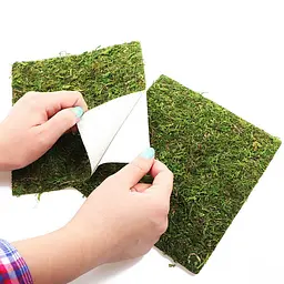Фон з натурального моху Repti-Zoo Natural Moss Back & Bottom 45x45см 2 шт (NCM4545) для тераріуму - мініатюра 6
