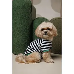 Футболка Pet Fashion Breeze для собак S - мініатюра 6