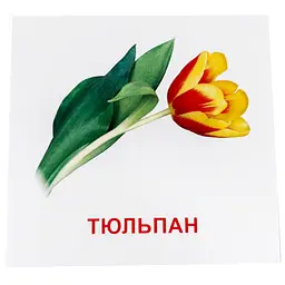 Картки міні Зірка Квіти 11х11 см - мініатюра 5