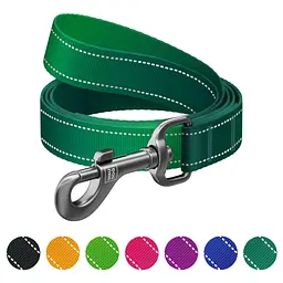 Повідець для собак WAUDOG Nylon Mono світловідбивний, S, Ш 15 мм, Д 200 см, зелений (463518)