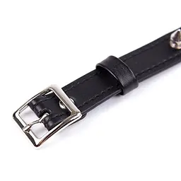 Нашийник з шипами Fetish Addict Collar With Spikes, 43 см (чорний) - мініатюра 3