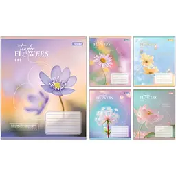 Упаковка зашитів 1В Tender Flowers учнівський загальний 10 шт./48 лін. (768081)