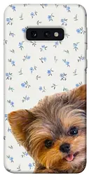 TPU чохол Demsky Cute Yorkie для Samsung Galaxy S10e
