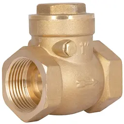 Зворотний клапан пелюстковий Thermo Alliance Standart 1" ВВ (низького тиску) SD242W25