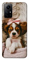 TPU чохол Demsky Sleepy spaniel для Xiaomi Redmi Note 12S
