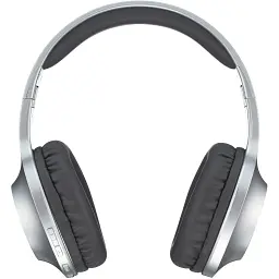 Гарнітура Panasonic RB-HX220BEE-S (6612085) - мініатюра 2