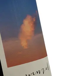 Вино Weinbau Wenzel Frank Wild+Free червоне сухе 0.75 л - мініатюра 3