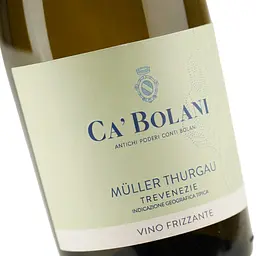 Вино ігристе Tenuta Ca'Bolani Muller Thurgau Frizzante біле сухе 10.5% 0.75 л - мініатюра 5