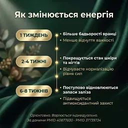 Спіруліна у таблетках 500 г - мініатюра 7