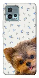 TPU чохол Demsky Cute Yorkie для Motorola Moto G72