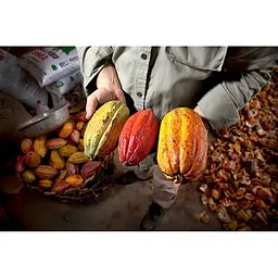 Шоколад чорний Marou Ba Ria Single Origin 76% 80 г - мініатюра 4