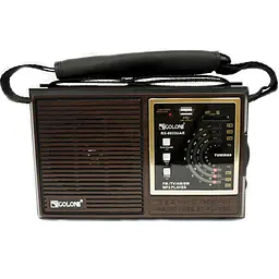 Радіоприймач Golon RX-9933 FM портативний
