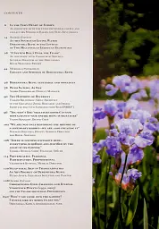 Журнал Антиквар №140. «Деренівська купіль» учора і сьогодні - мініатюра 6