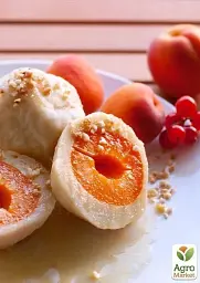 Саджанець Agro-Market Абрикос Робада (літній сорт, ранній термін дозрівання) 1 шт. в упаковці (39862) - мініатюра 4