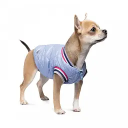 Бом бер Pet Fashion Spike для собак, розмір XS2, блакитний - мініатюра 2