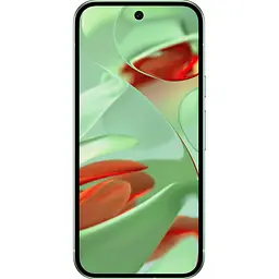 Смартфон Google Pixel 9 12/128Gb Wintergreen [114088] - мініатюра 2