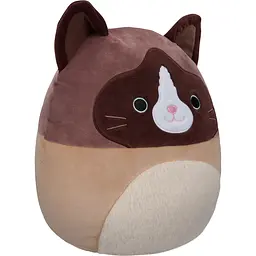 М'яка іграшка Squishmallows Кіт Вудворд 30 см (SQCR05423) - мініатюра 2