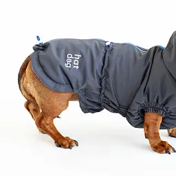 Вітровка для такс Hat-Dog Графіт (XS/Дівчинка) - мініатюра 4