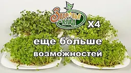 Пророщувач насіння Аеросад Здоровья Клад 4-и модульний - мініатюра 10