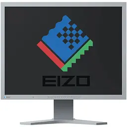 Монітор 21.3" Eizo FlexScan S2100 Grey - Class A "Б/В"