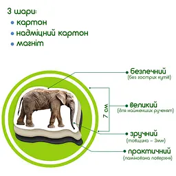 Набір магнітів Зоо 19шт ML4031-02 EN - мініатюра 3