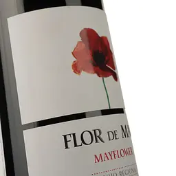 Вино Magnum Flor de Maio Red DO Alentejo 2021 червоне сухе 0.75 л - мініатюра 4