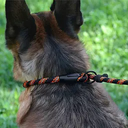 Повідець-зашморг для собак Barksi Active (довжина 183 см діаметр 12 мм) чорно-помаранчевий - мініатюра 6
