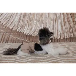 Шорти Pet Fashion Leo для собак М - мініатюра 10