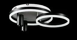 Люстра стельова LED Splendid Ray L2464/550/2+2, 4 лампи, білий/чорний, димер, сучасний стиль - мініатюра 3