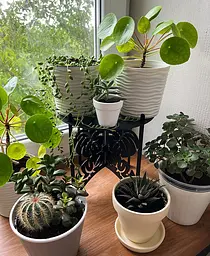 Підставка металева для квітів-вазонів NC Home Plant чорна - мініатюра 2