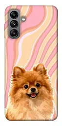 TPU чохол Demsky Pastel spitz для Samsung Galaxy A04s