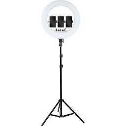 Кільцева LED лампа AC Prof RL-18 [71752]