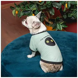 Футболка для тварин Pet Fashion Oscar XS2 блакитна (4823082441372) - мініатюра 4