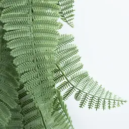 Штучна гілка Engard Persian fern 65 cм (AV-01) - мініатюра 6