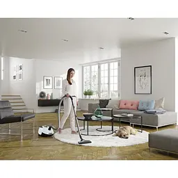 Пилосос Electrolux ESP754IW - мініатюра 4