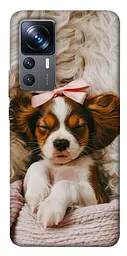 TPU чохол Demsky Sleepy spaniel для Xiaomi 12T / 12T Pro