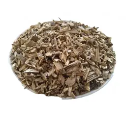 Соняшник Корінь Helianthus annuus - мініатюра 1