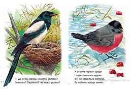 Книга Малятам про звіряток Збірник: Поруч з нами Ранок М212013У shop (9786170978738) - мініатюра 4