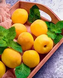 Саджанець Agro-Market Абрикос Ананасний (середній термін дозрівання) (35456) 1 шт. в упаковці - мініатюра 4