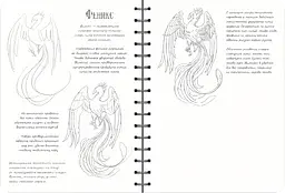 Скетчбук ОКО Sketch Book Скетчбук Малюємо фантастичних істот експрес курс O SB RFS - мініатюра 5