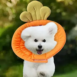 Ветеринарний комір для котів та маленьких собак Derby Carrot, L - мініатюра 4