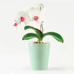 Горщик для квітів МВМ My Home, 16 см, зелений (DH-FLOWERS-29 GREEN) - мініатюра 2