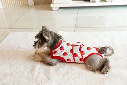 Костюм для відновлення після операції для собак VPETER Strawberry, M - мініатюра 7