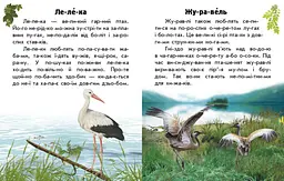Читаю про Україну. Тварини степів С366022У - мініатюра 2