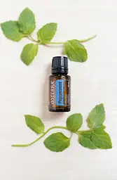 Ефірна олія перцевої м'яти DoTERRA Peppermint, 15 мл - мініатюра 3